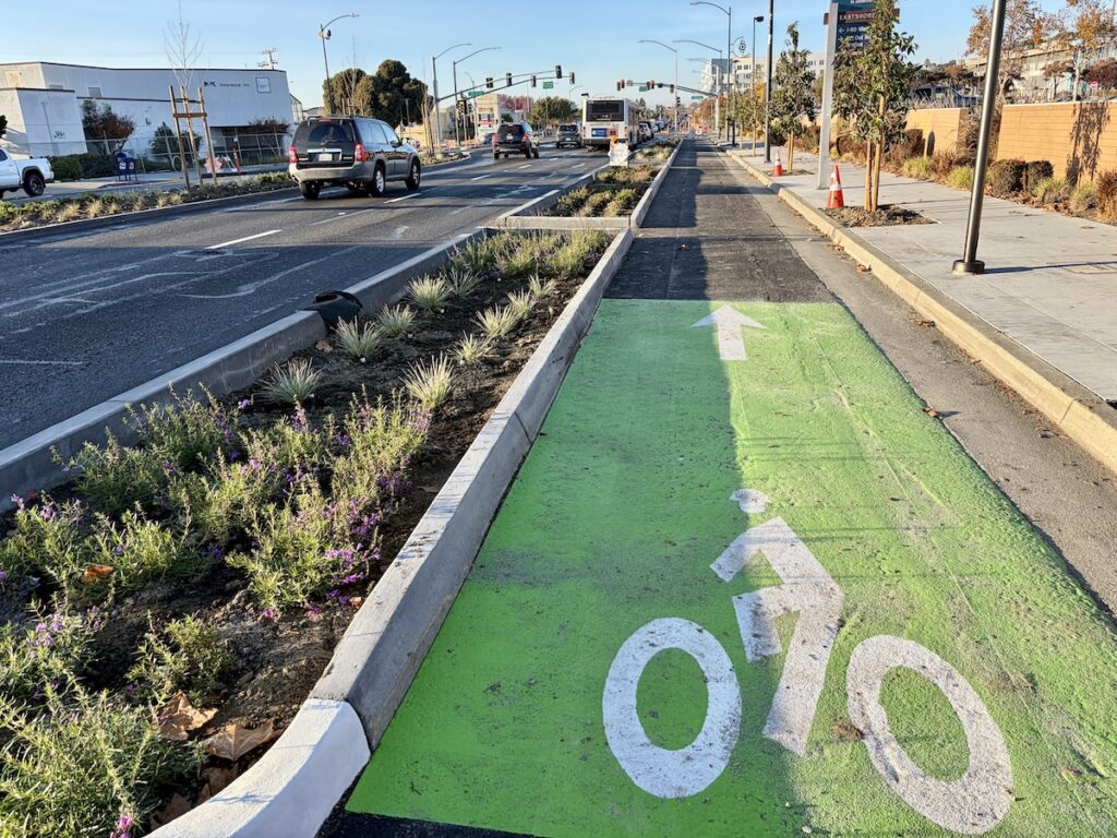 photo of curbside San Pablo Ave protected bikeway in El Cerrito, with a green painted bike lane marking and a concrete rain garden to the left landscaped with shrubs