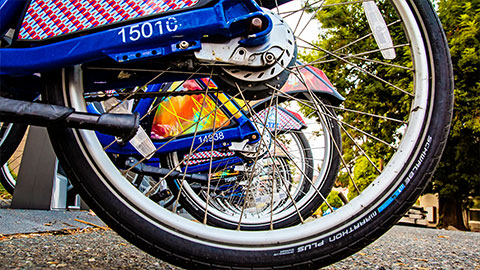 Photo from ground level looking through a series of Bay Wheels bike share wheels, all parked next to one another at a dock
